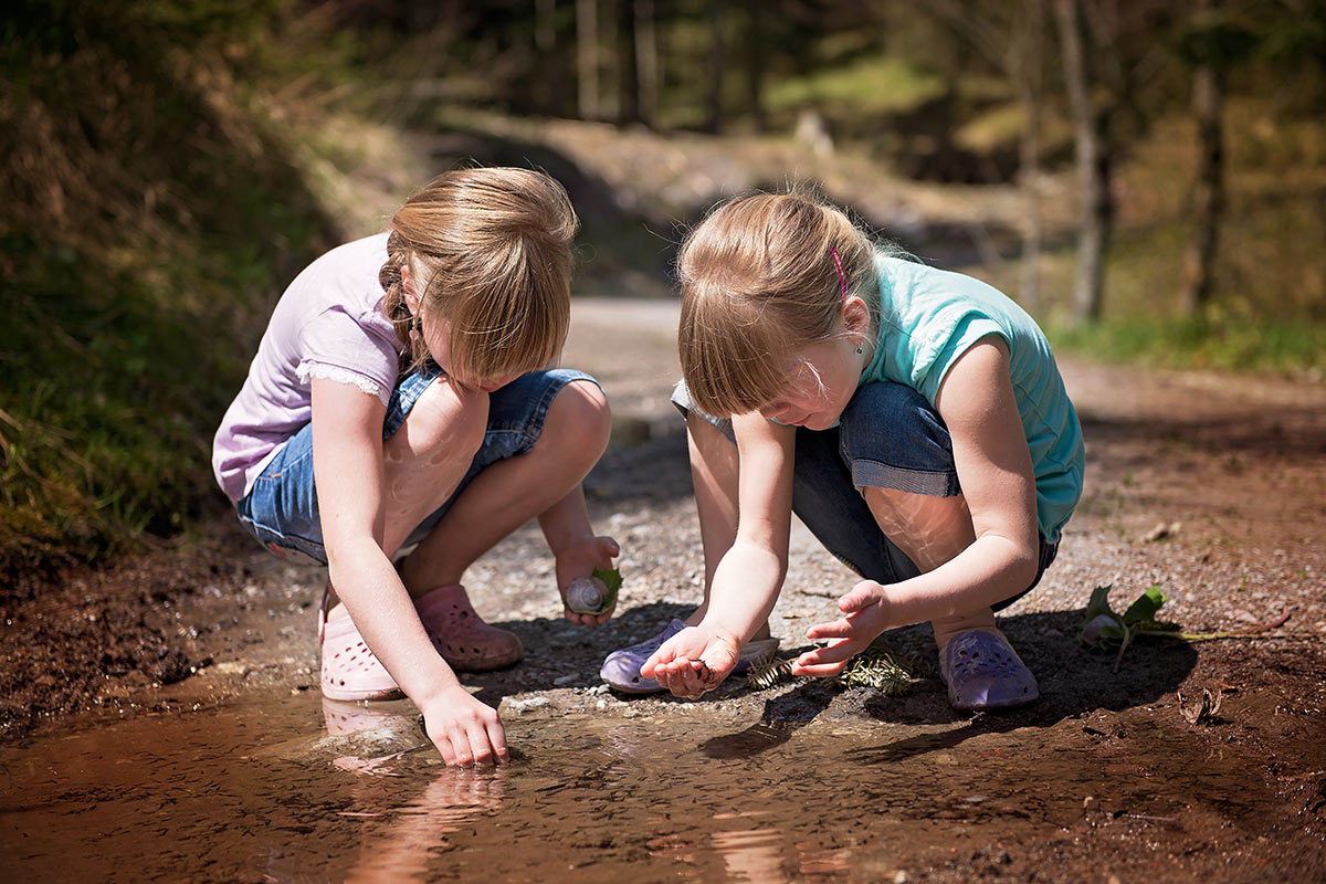 Our Countryside Rocks! Festival 2020 Camping with Honeybells